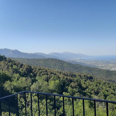 Gite La Fontaine Corse Loreto-di-Casinca Cameră foto