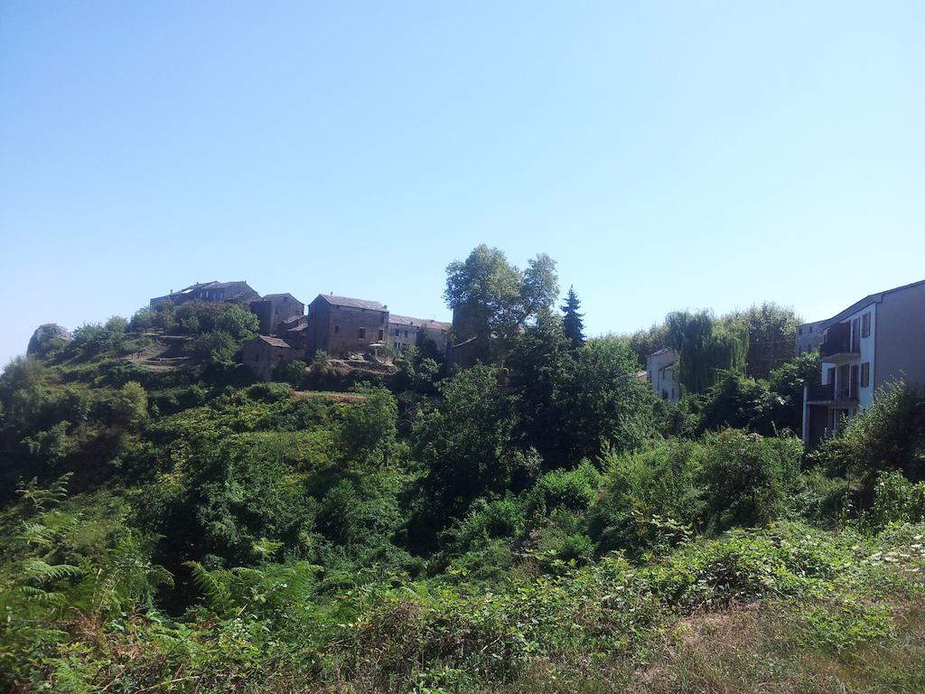 Gite La Fontaine Corse Loreto-di-Casinca Cameră foto