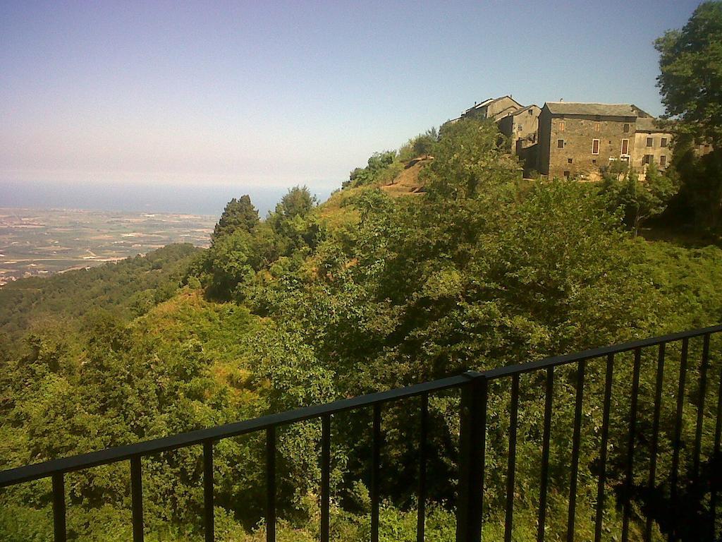 Gite La Fontaine Corse Loreto-di-Casinca Cameră foto