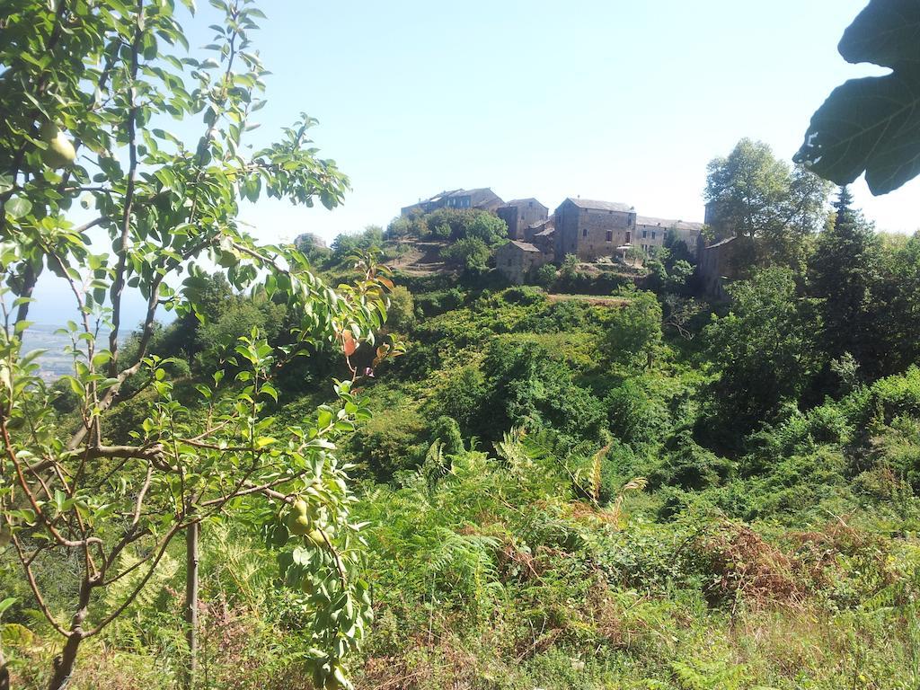 Gite La Fontaine Corse Loreto-di-Casinca Cameră foto