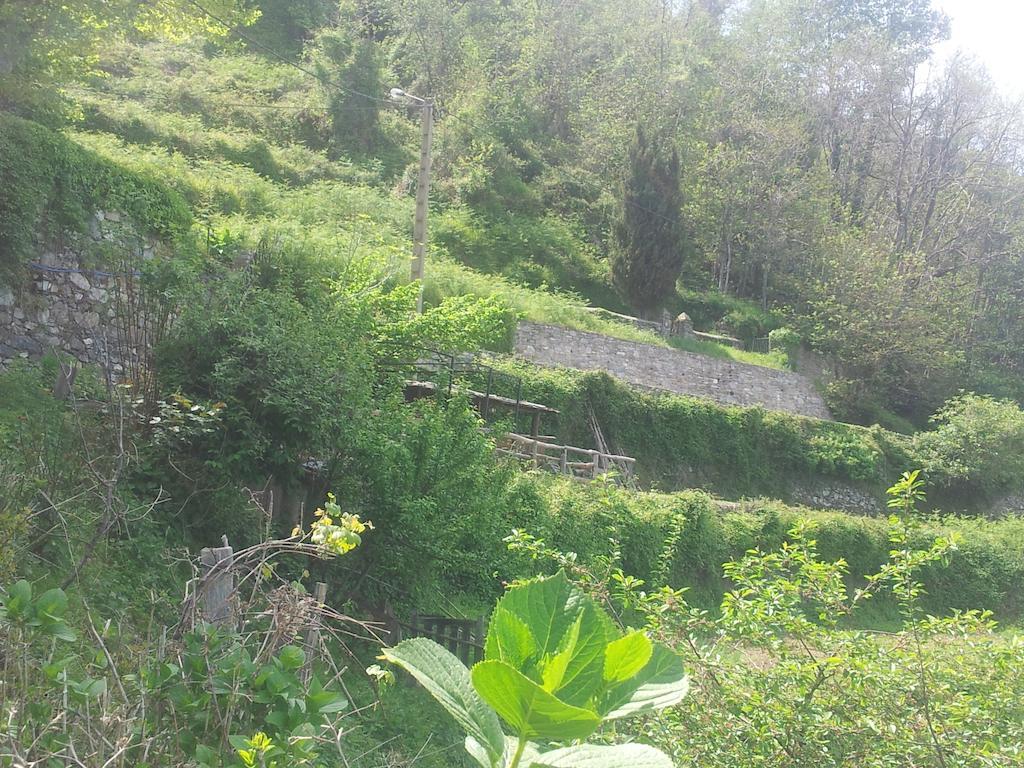 Gite La Fontaine Corse Loreto-di-Casinca Cameră foto