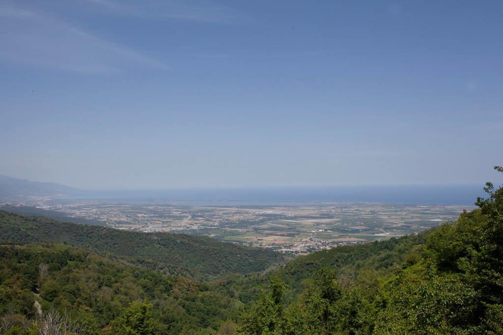 Gite La Fontaine Corse Loreto-di-Casinca Cameră foto