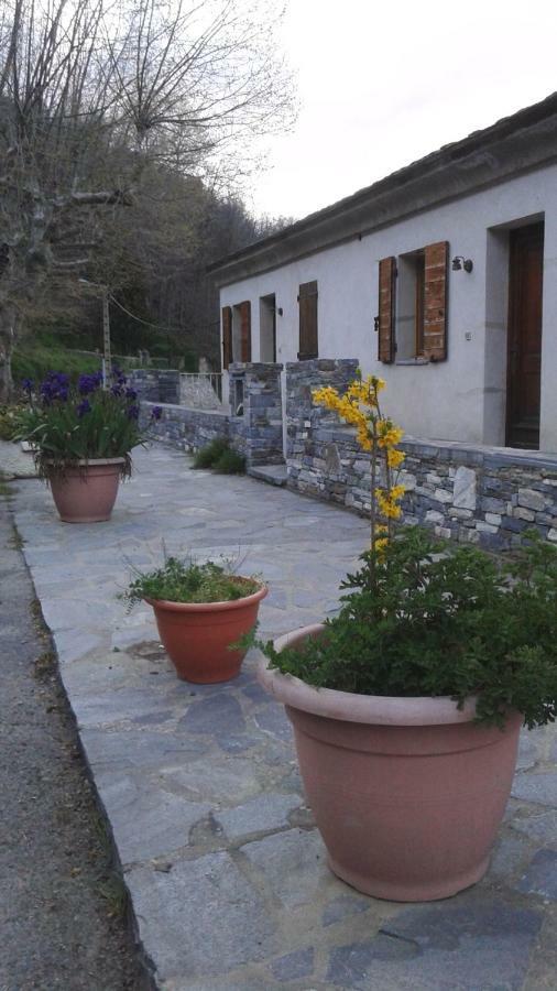 Gite La Fontaine Corse Loreto-di-Casinca Exterior foto